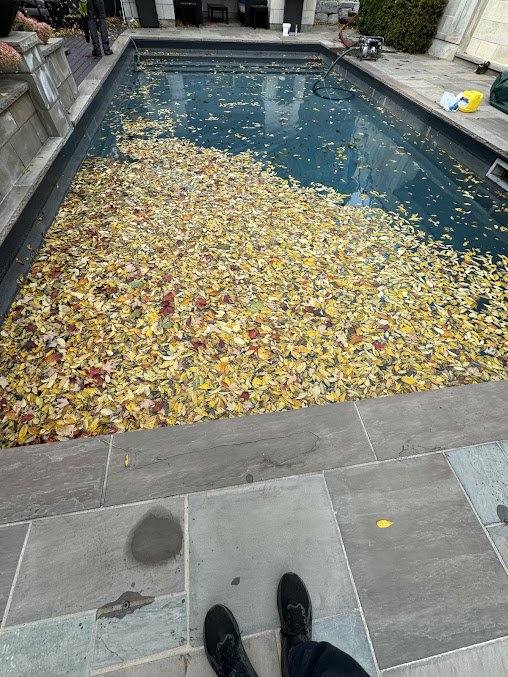 Pool cleaning and maintenance