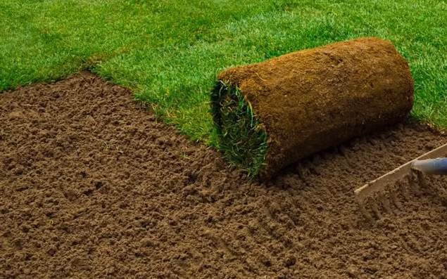 Sod installation services